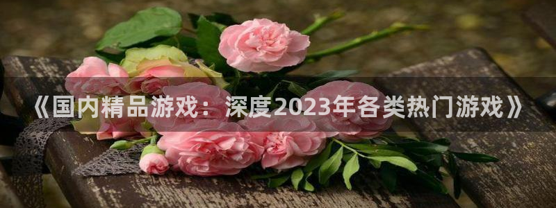 优贝娱乐代理登陆：《国内精品游戏：深度2023年各类热门游戏