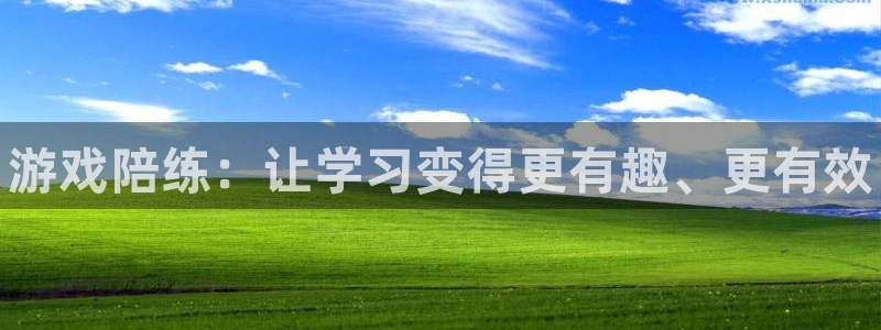优贝娱乐登陆：游戏陪练：让学习变得更有趣、更有效