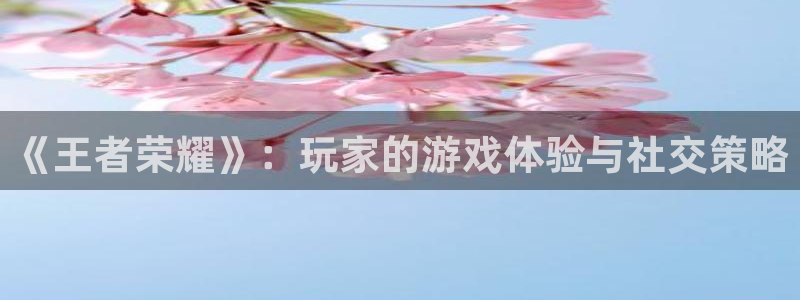 优贝娱乐注册登录：《王者荣耀》：玩家的游戏体验与社交策略