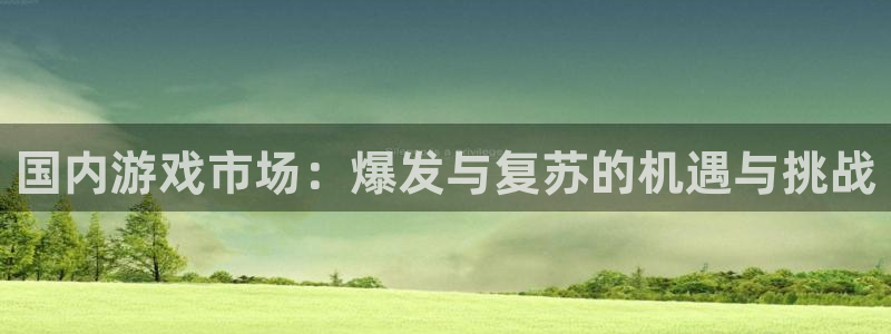 优贝娱乐平台官方网站：国内游戏市场：爆发与复苏的机遇与挑战