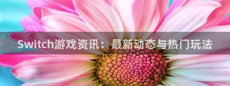 优贝娱乐什么意思：Switch游戏资讯：最新动态与热门玩法