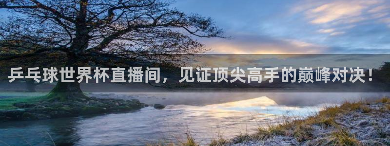 新球足球直播：乒乓球世界杯直播间，见证顶尖高手的巅峰对决！