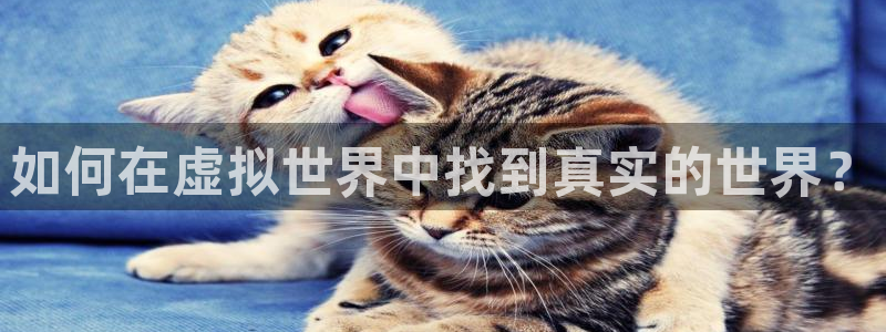 优贝娱乐平台官方网站：如何在虚拟世界中找到真实的世界？