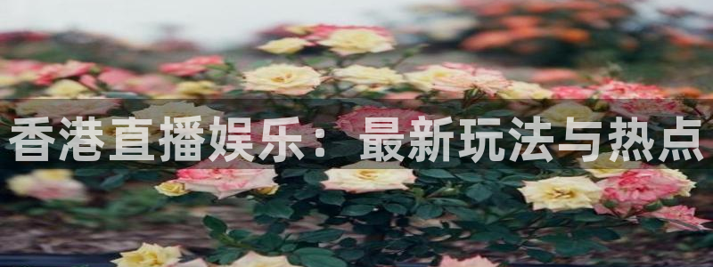 新球直播：香港直播娱乐：最新玩法与热点